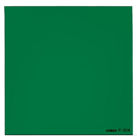 Filtre Vert  - Taille M (série P)