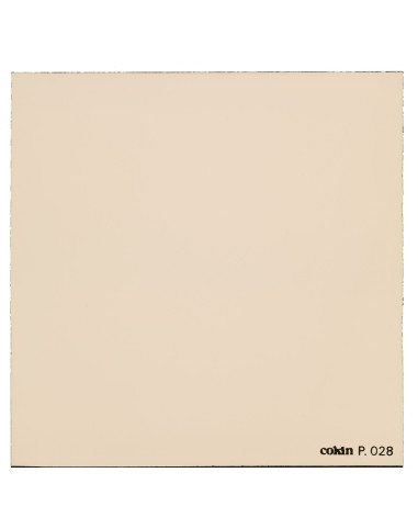 Filtre Chaud (81C)  - Taille M (série P)