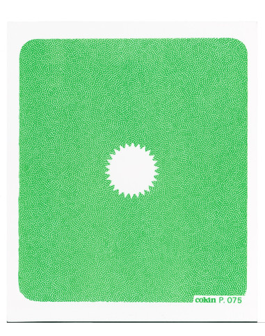 Filtre Center spot WA Vert   - Taille M (série P)