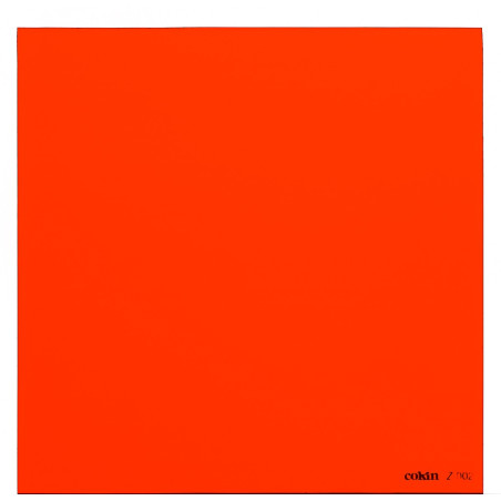 Filtre Orange L (Z-PRO Series)