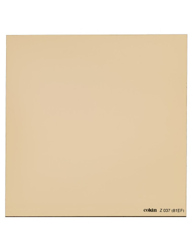 Filtre Chaud (81 EF) L (Z-PRO Series)