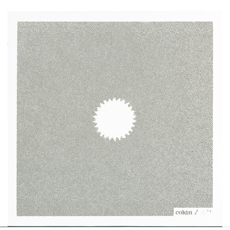 Filtre C.Spot WA Incolor 2 L (Z-PRO Series)