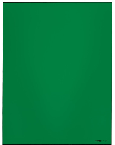 Filtre Vert XL (X-PRO Series)