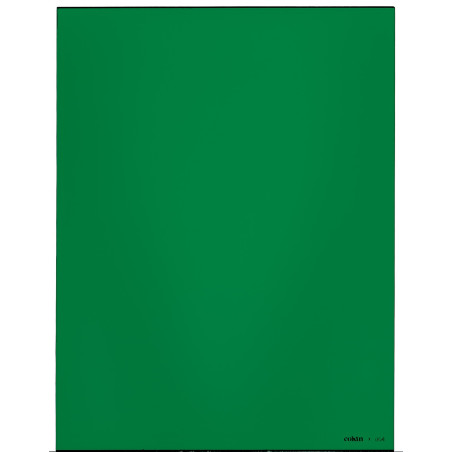 Filtre Vert XL (X-PRO Series)