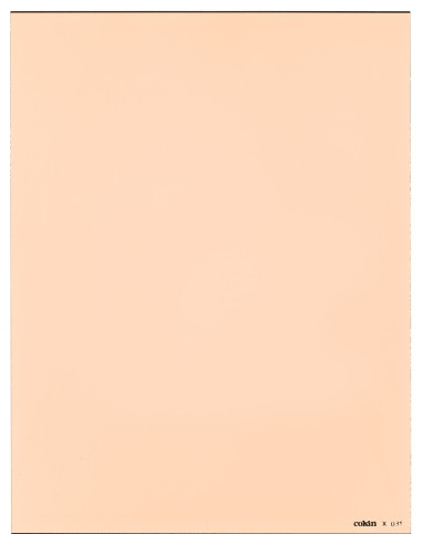Filtre Orange (85C) XL (X-PRO Series)