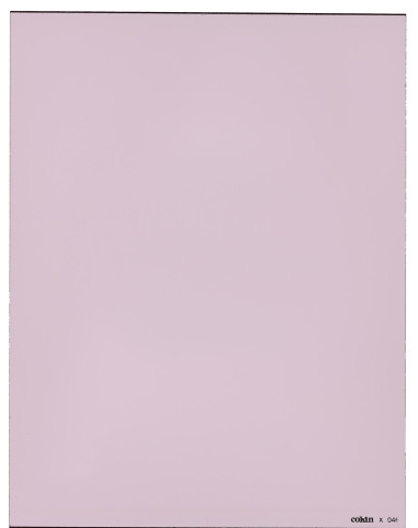 Filtre FLD XL (X-PRO Series)