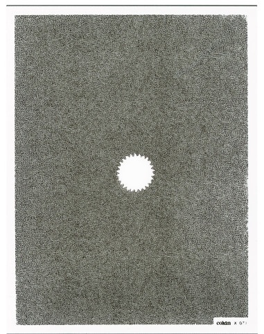 Filtre C.Spot WA Gris 2 XL (X-PRO Series)