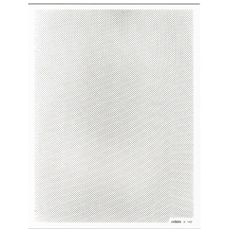 Filtre Maille 1 Blanc XL (X-PRO Series)