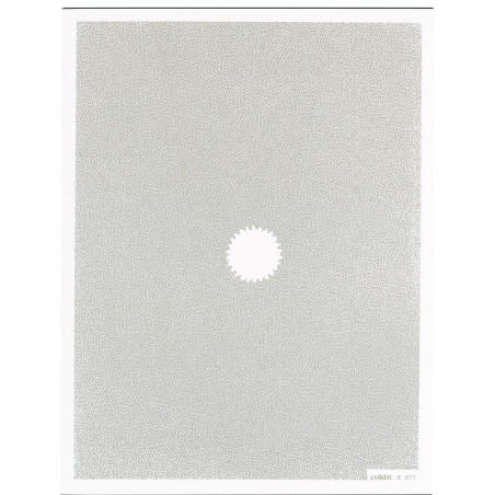 Filtre C.Spot WA Incolor 2 XL (X-PRO Series)