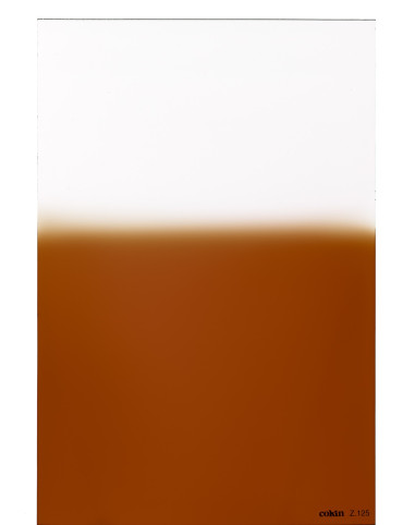 Filtre Dégradé Tabac  T2 L (Z-PRO Series)