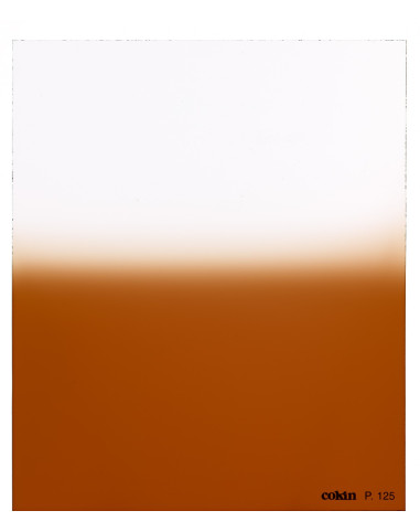 Filtre Dégradé Tabac  T2  - Taille M (série P)