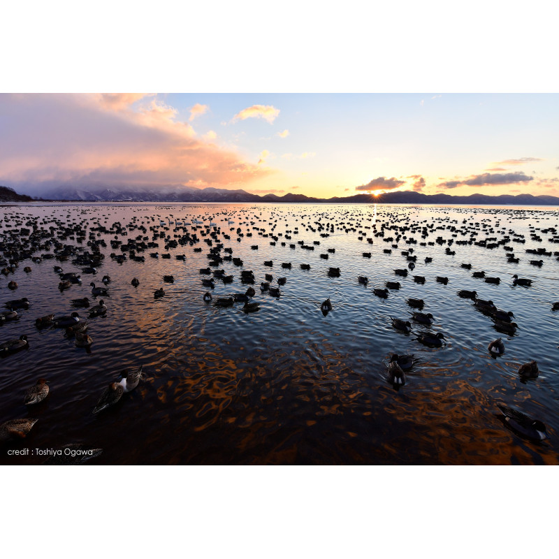 TOKINA - Objectif OPERA 16-28mm F2,8 monture Nikon F - Objectif photo