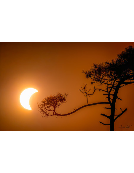 Kenko PRO ND100000 – ND Filter for Solar Photography